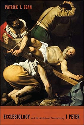 This image has an empty alt attribute; its file name is 514bj-2aI1L._SX331_BO1,204,203,200_.jpg