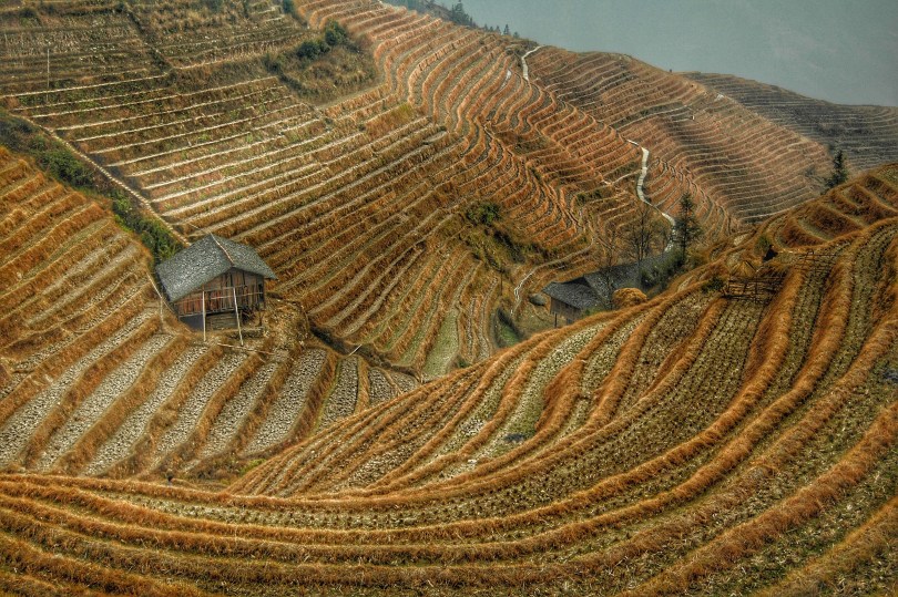 Brown rice terraces as an example of ancient irrigation technology
