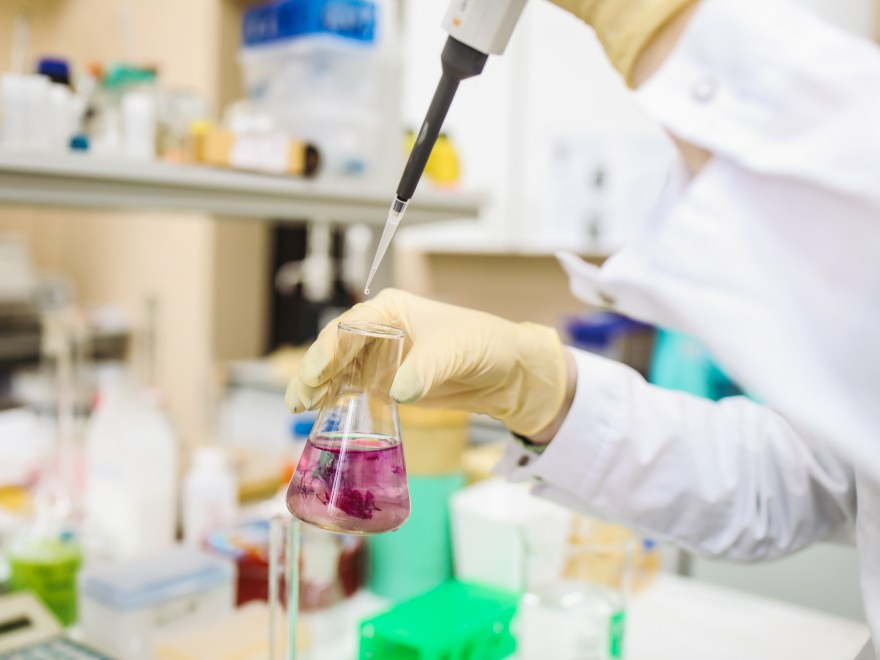 The Problem of Scientism in Conventional Education