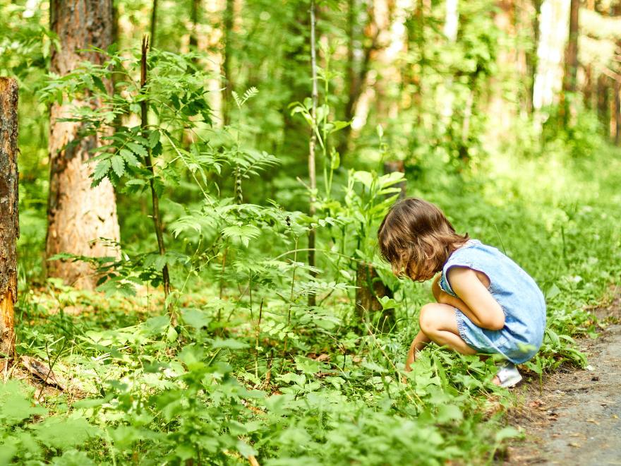 The Drive to Learn: Three Views on the Desire for Knowledge