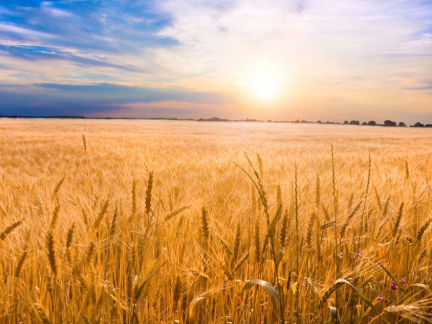 Work, Toil, and the Quest for Academic Rigor