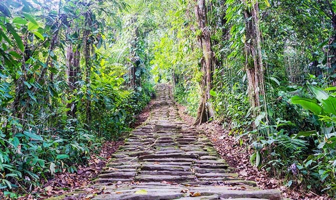 The Search for Happiness, Part 2: The Way of Wisdom