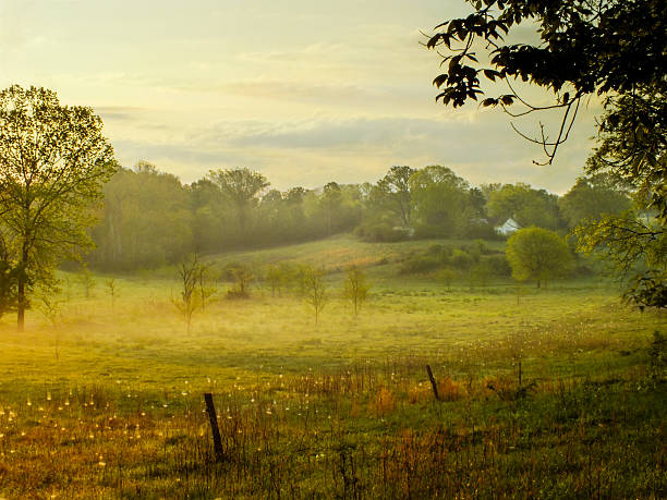 To Belbury or St. Anne’s? A Vision for Moral Education in C.S. Lewis’ That Hideous Strength