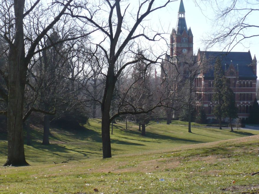 Why Luther Believed Christians Should Study the Liberal Arts