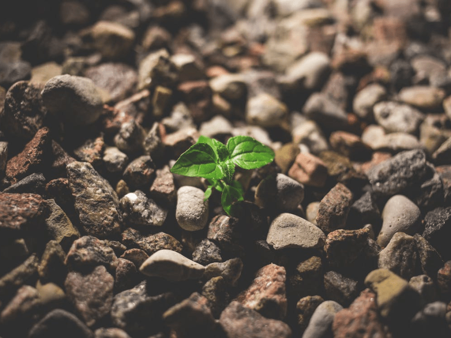 How to Teach Grit and the Growth Mindset